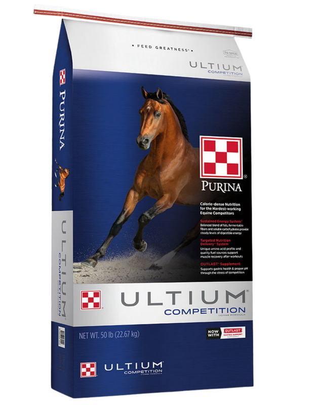 FD - Ultium Competition