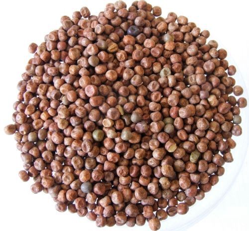 Maple Peas