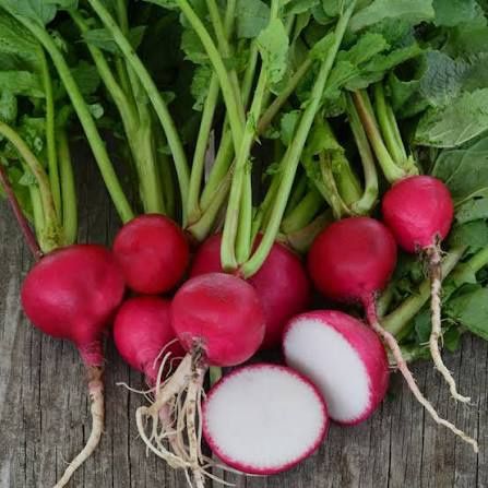 Radish, German Giant - BDipper