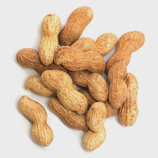 Raw Peanuts In Shell - 4LB