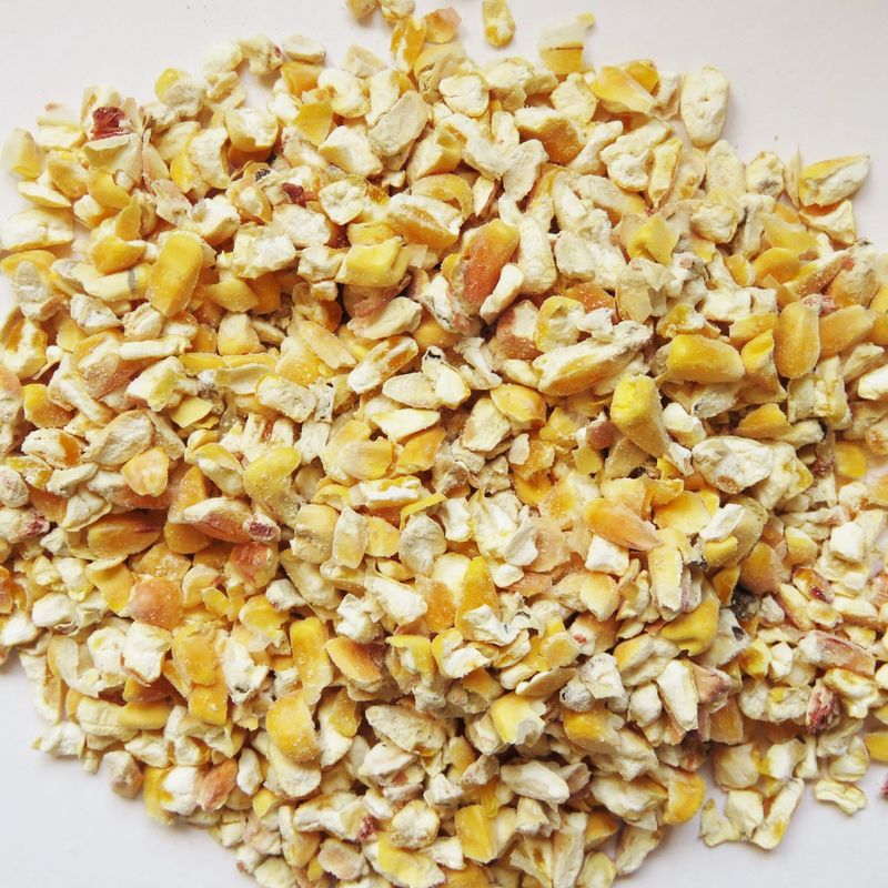 Medium Crack Corn