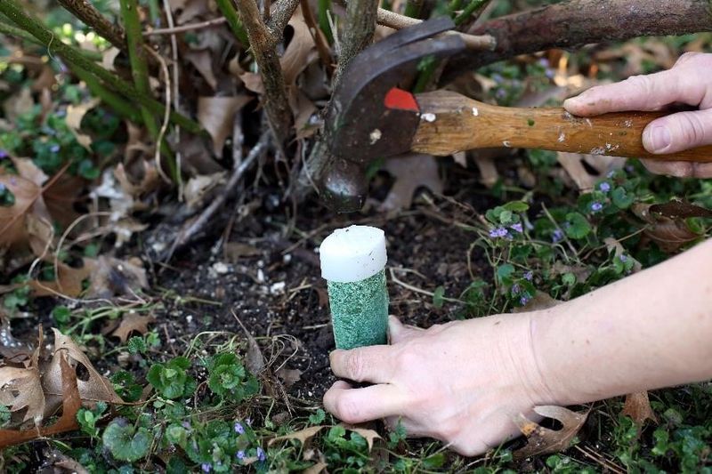 15-3-3: Tree &amp; Shrub Fertilizer Spike