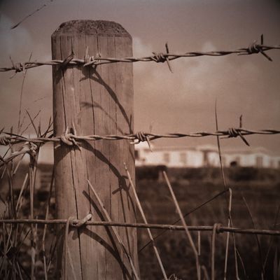 Fencing