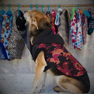 Clothing