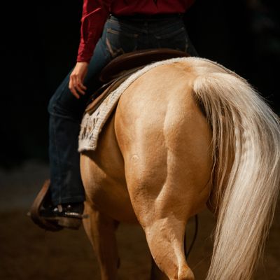 Reining
