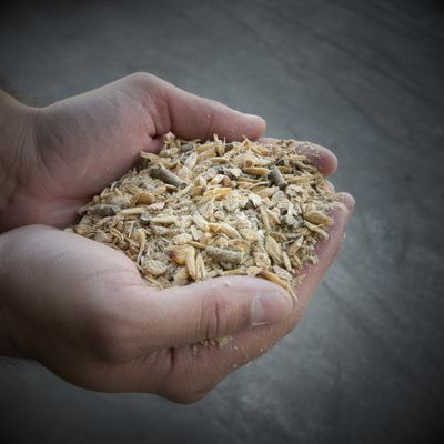 Show Ration