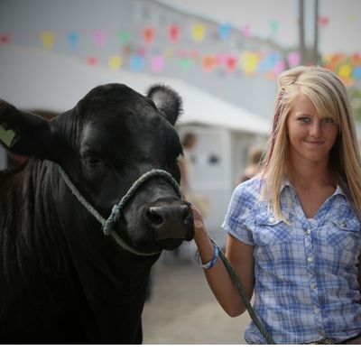 Other Livestock Show Supplies