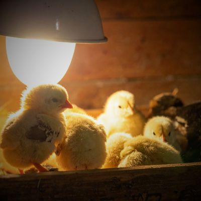 Housing &amp; Warmth