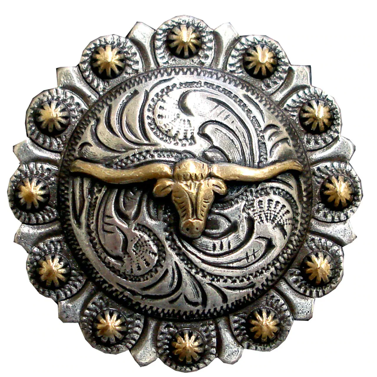 1" Longhorn Steer Berry Bulls Head Concho