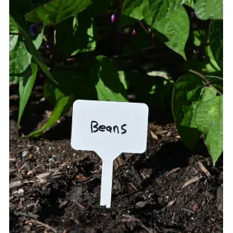 50 Pack of Plant Labels