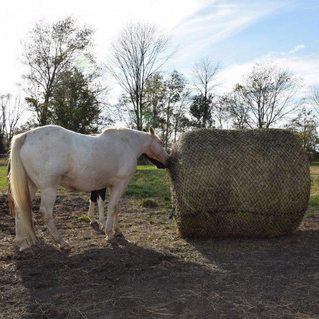 6' x 6' Round Bale Net 1.5" x 1.5"