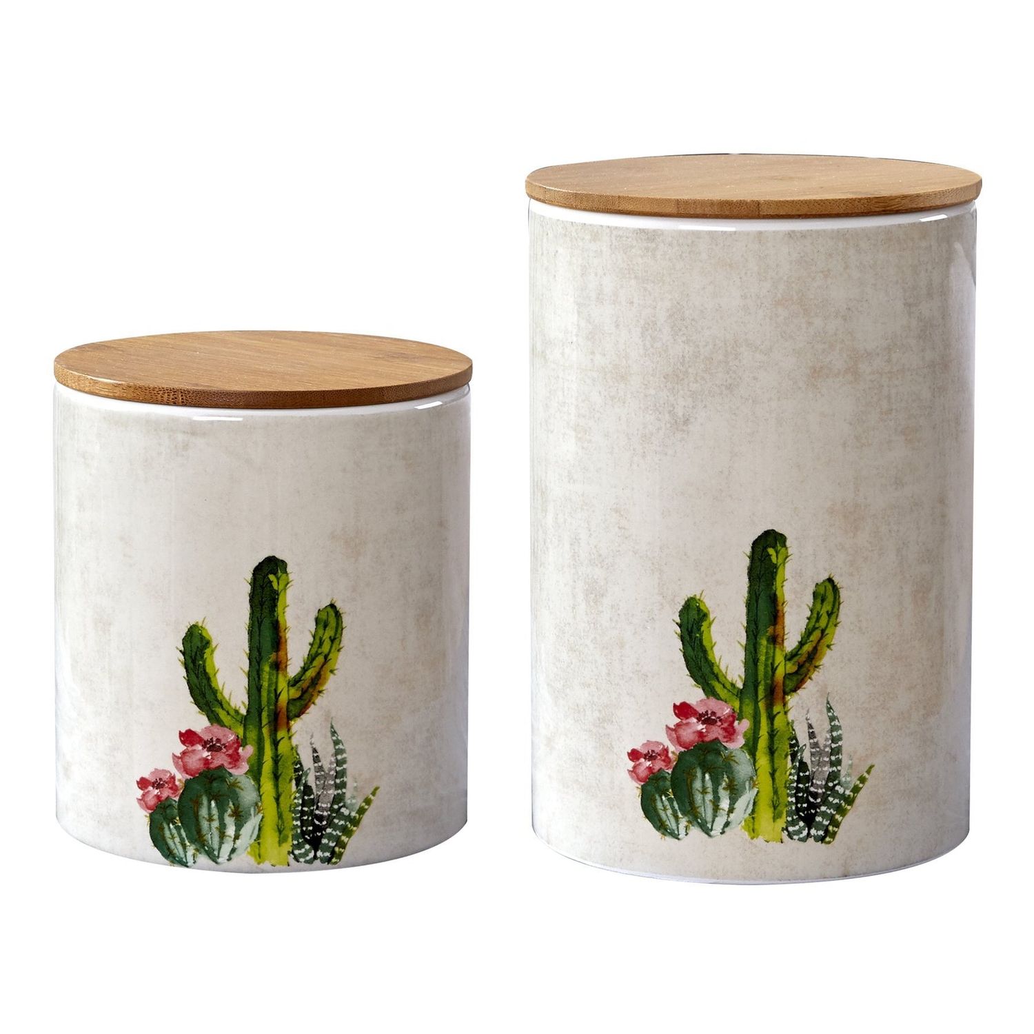 2 PC Suculent Design Canister Set