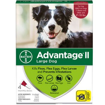 Advantage II L Dog 2 Dose
