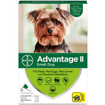 Advantage II S Dog 6 Dose
