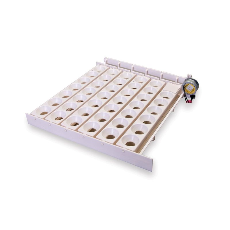 Auto Egg Turner