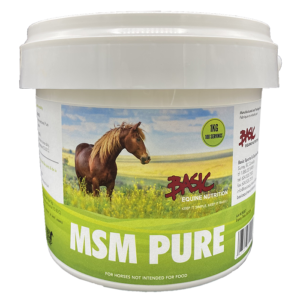 Basic Equine MSM Pure 1 kg