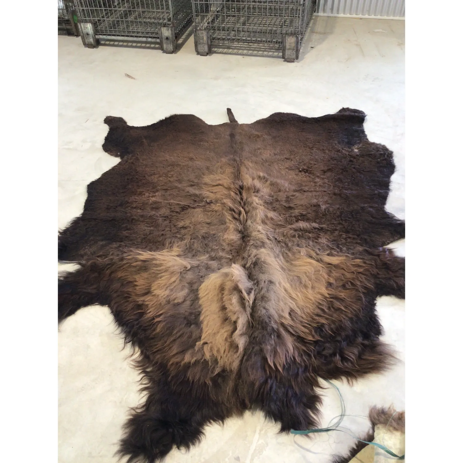 Bison Robe