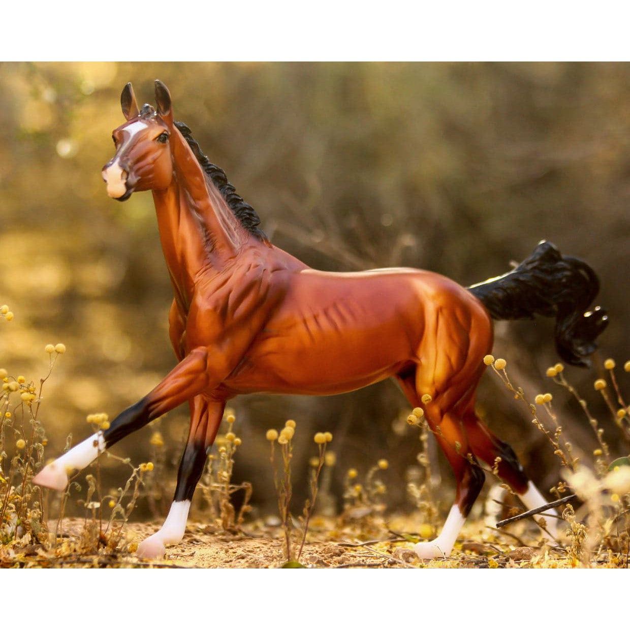Breyer Kid's Adamek