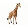 Breyer Kid's Collecta Green Reticulated Giraffe Calf