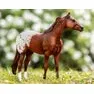 Breyer Kid's Orren Mixer - The Ideal Appaloosa
