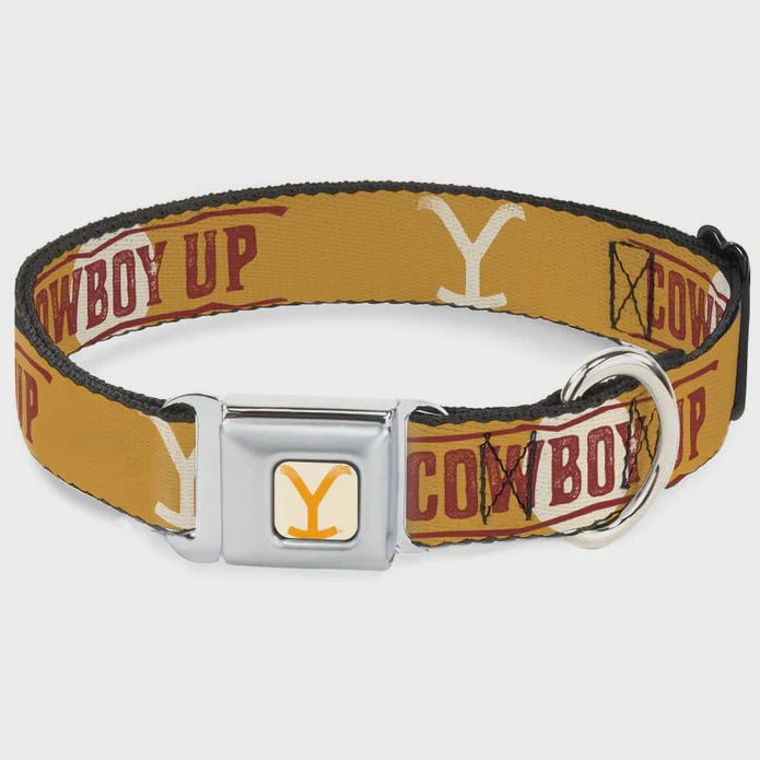 Buckle Down Dog Collar Yellowstone Y Logo Cowboy Up - Orange Red White - Small