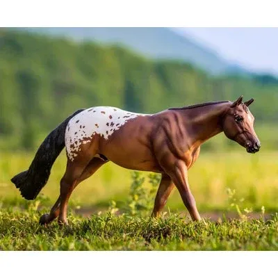 Breyer Kid's Chocolatey - Champion Appaloosa