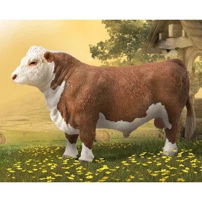 Breyer Kid's Collecta Hereford Bull - Polled