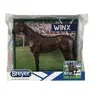 Breyer Kid's Winx - Champion Australian Racehorse