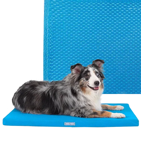 Canada Pooch Chill Our Cooling Mat-Blue O/S