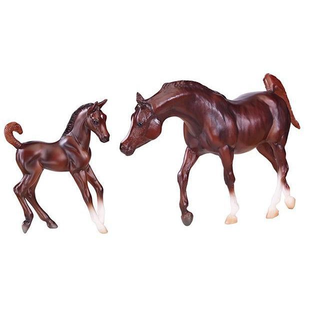 Chestnut Arabian Horse &amp; Foal