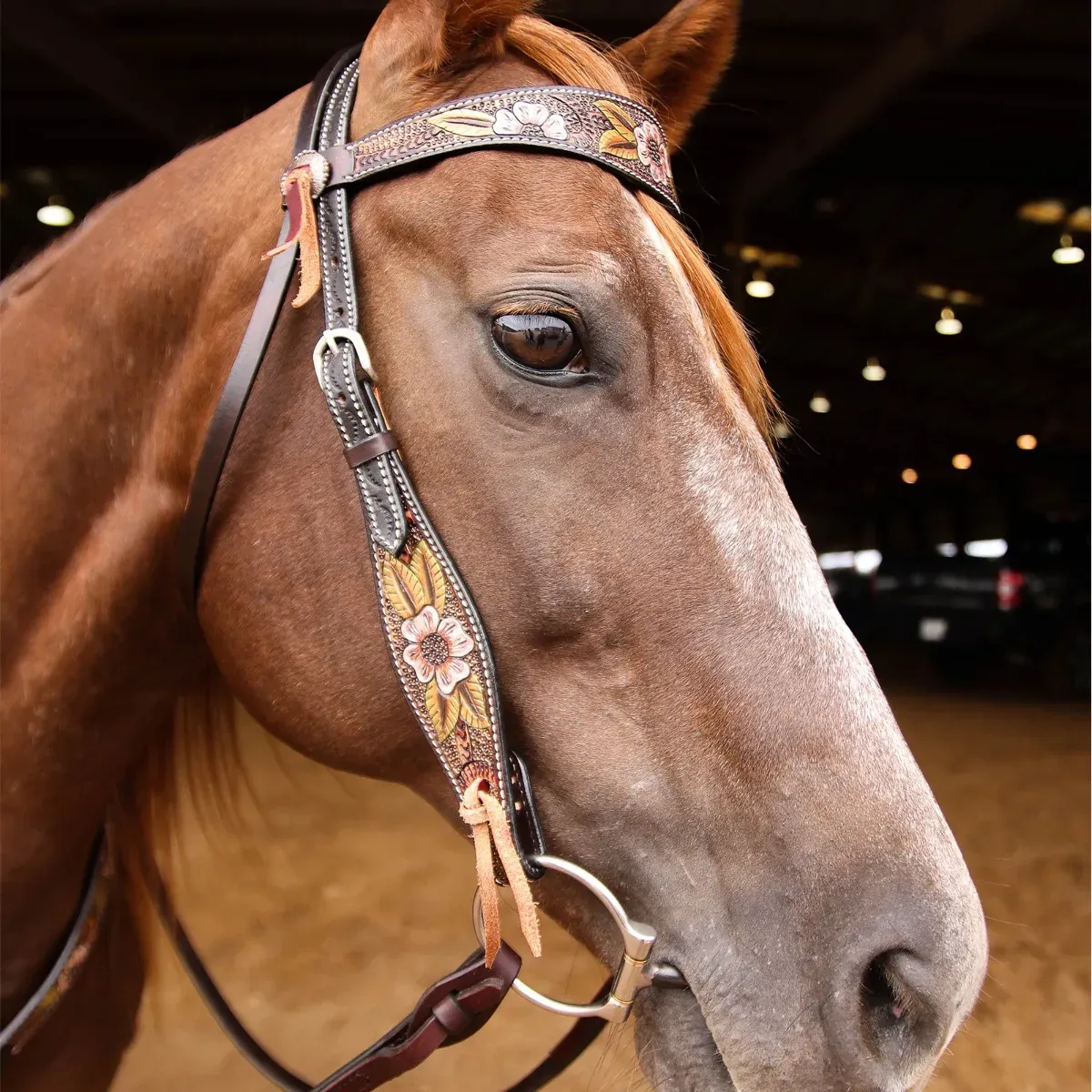 Circle Y Dogwood Flower Browband Headstall