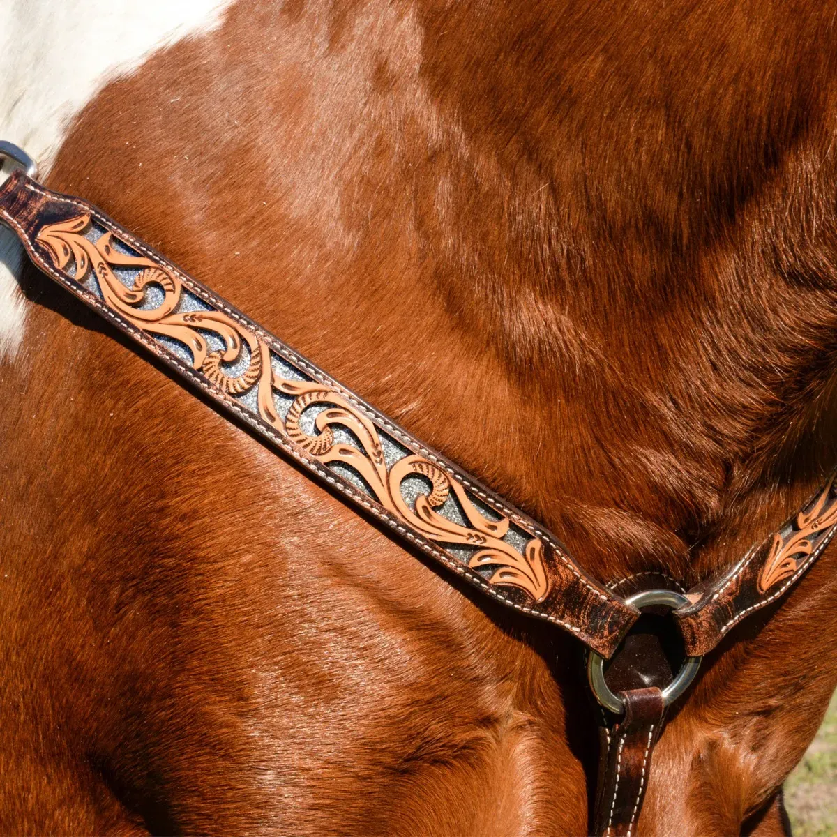 Circle Y Glitters In Motion Breastcollar