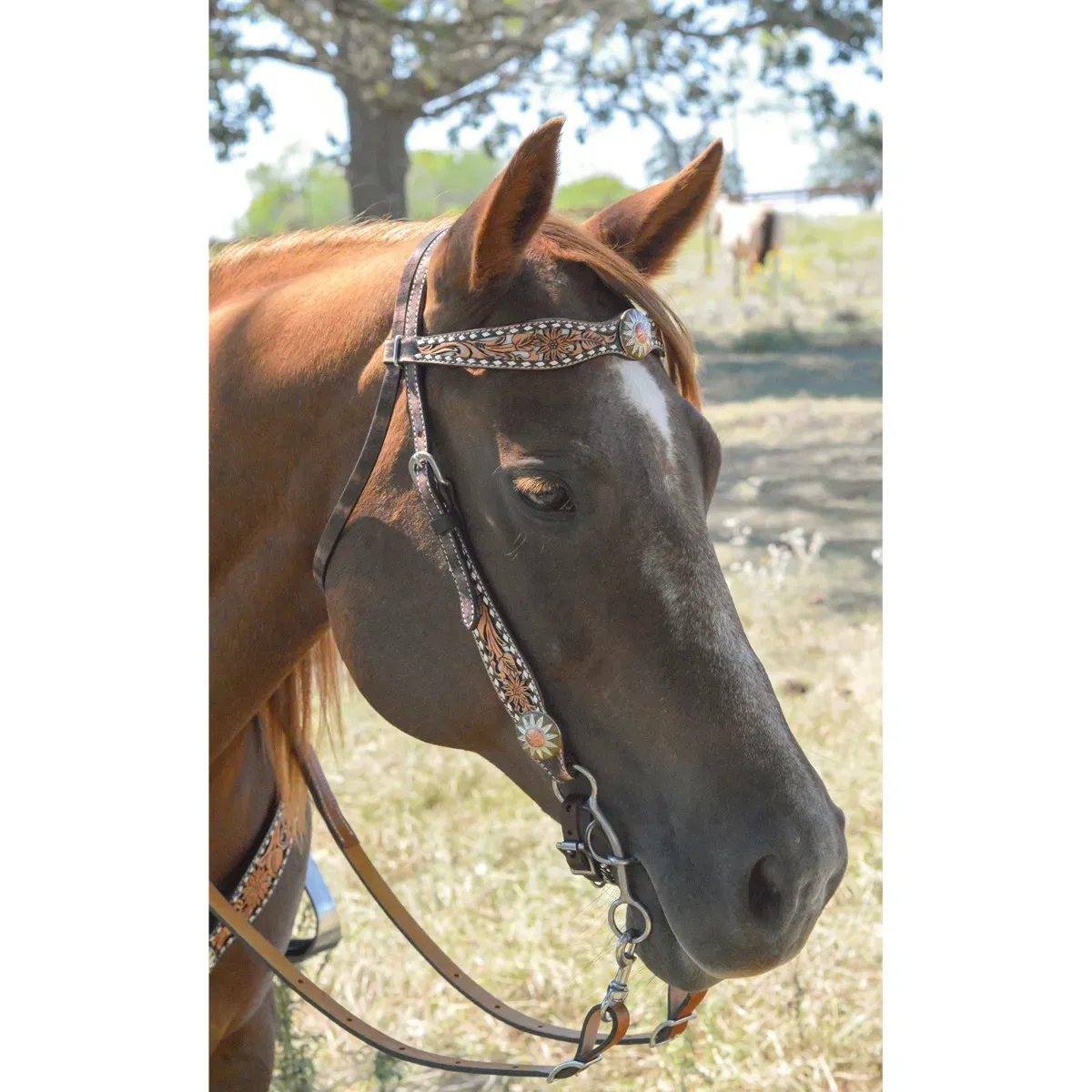 Circle Y White Daisy Filigree Browband Headstall