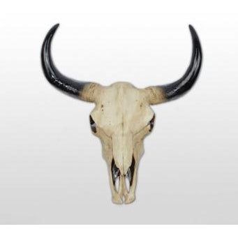 Cow Head