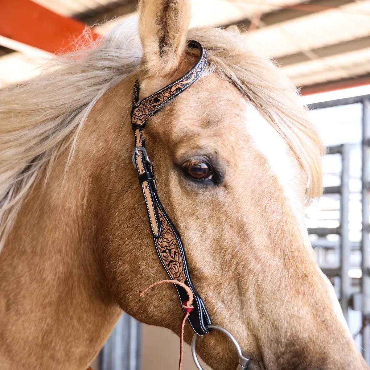 Circle Y Blooming Wild One Ear Headstall