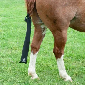 Classic Equine Tail Bag-BLACK