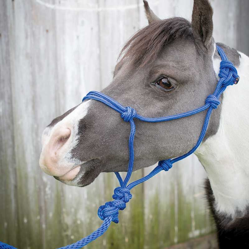 Equi-Sky Mini Rope Halter With Lead