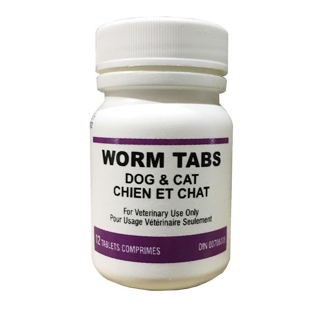 DVL Deworming Tabs 12pk DIN#00708208