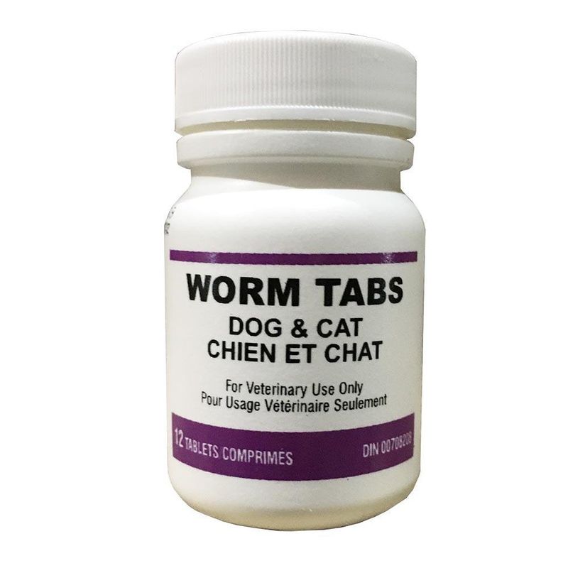 DVL Deworming Tabs 12pk DIN#00708208