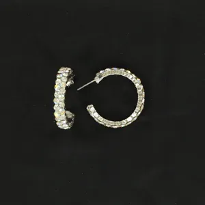 Earring Large Crystal Hoop