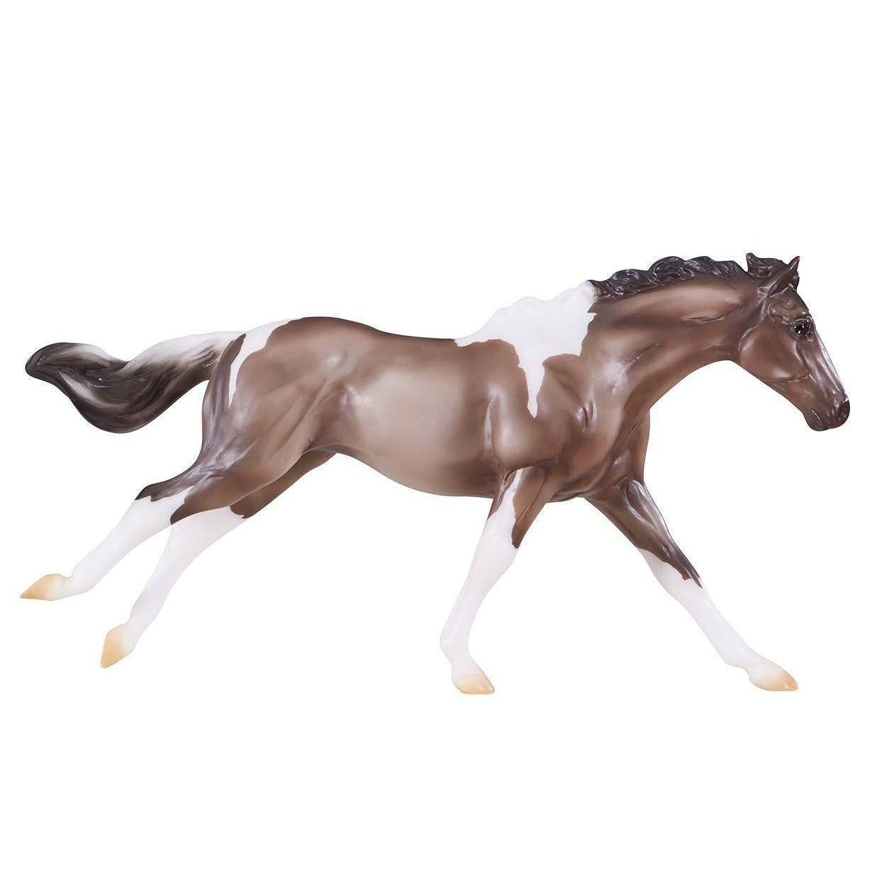 Grulla Paint Quarter Horse