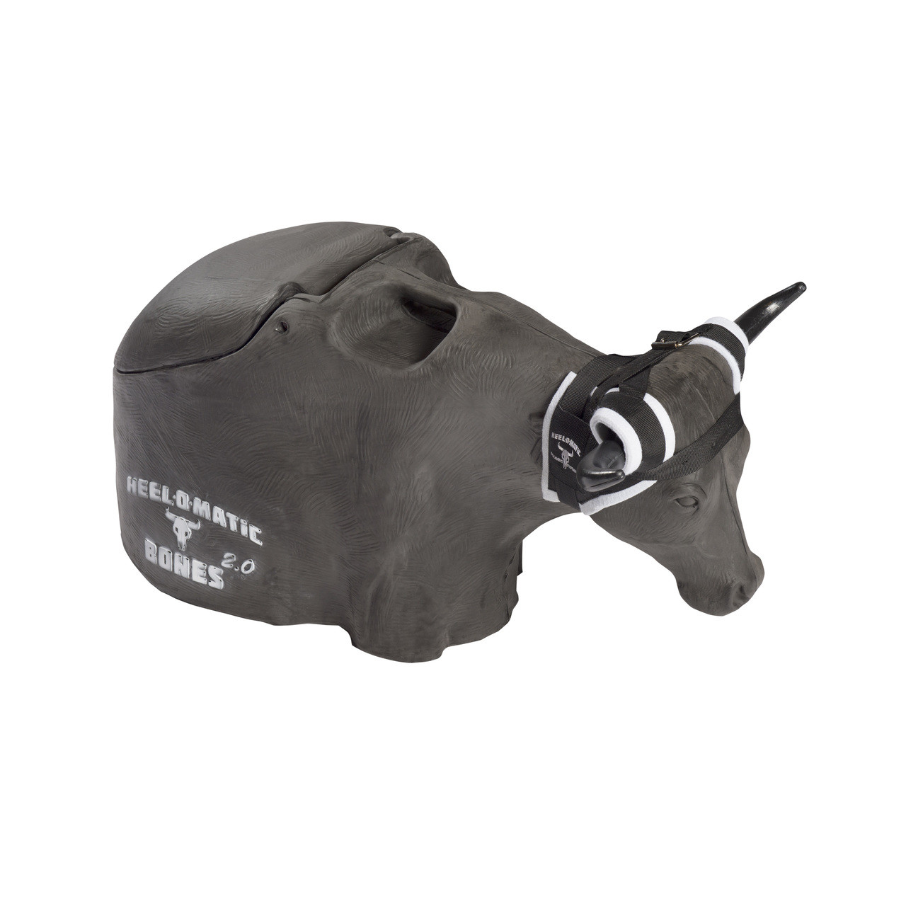 Smarty Rodeo Bones 2.0