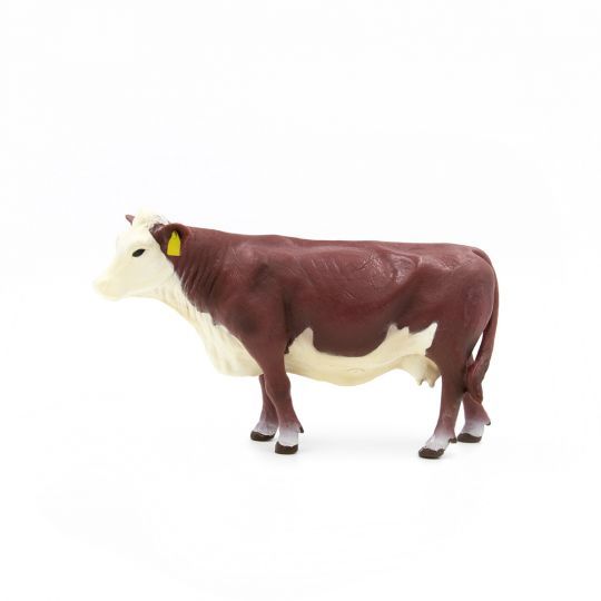 Hereford Cow - 500257