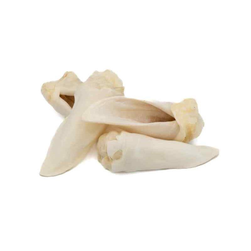 Furever Lamb Ear (Natural) 3 PC