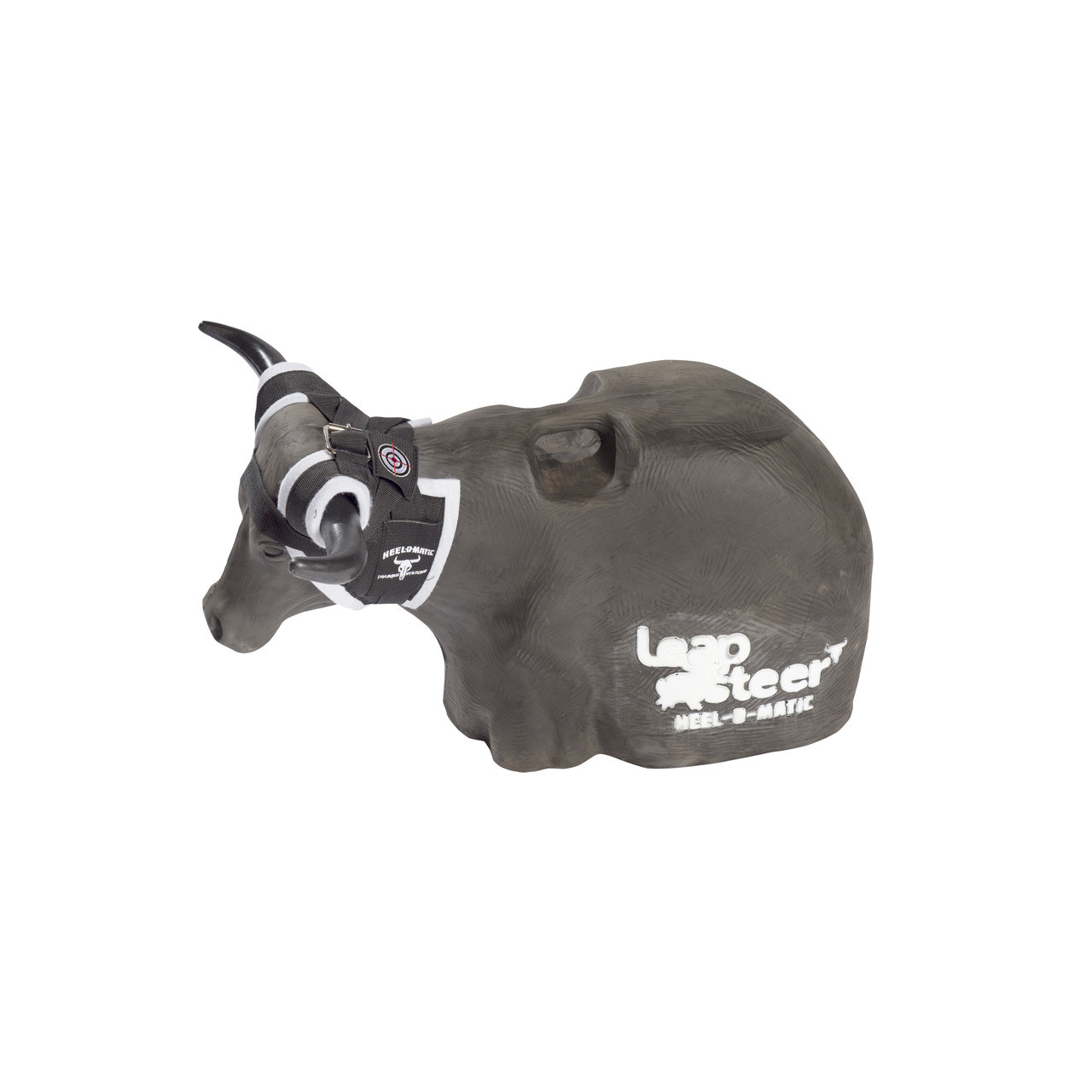 Smarty Rodeo Leapsteer