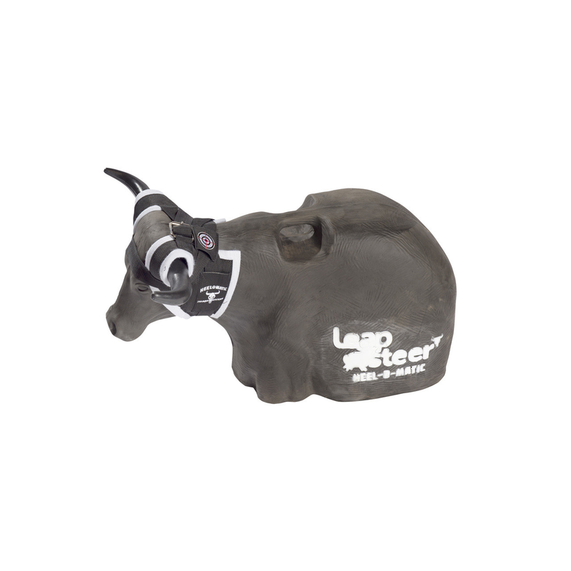 Smarty Rodeo Leapsteer