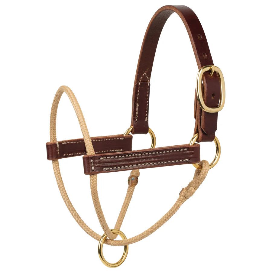 Horseman's Foal Halter-RB/Tan