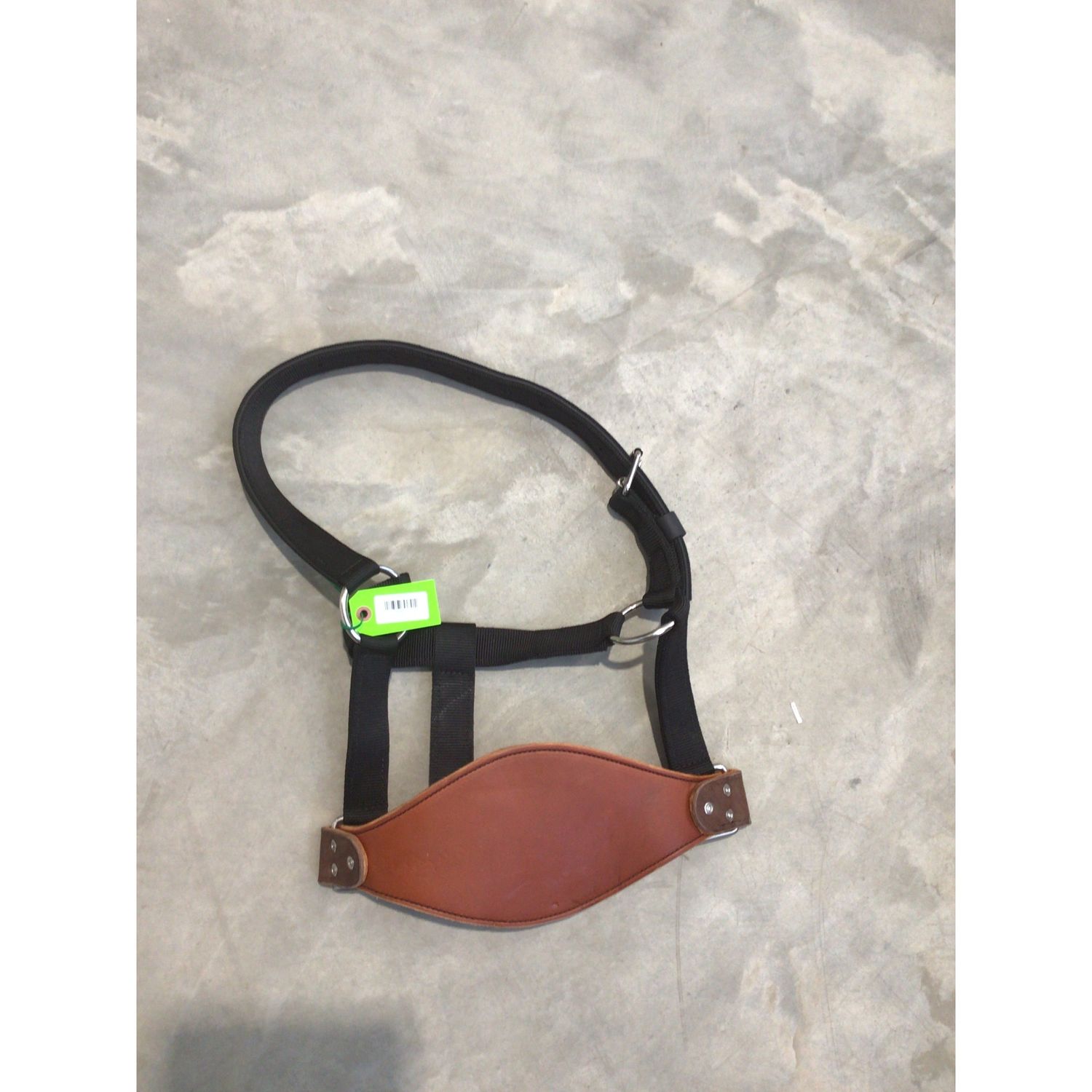 Jerry Beagley - SB NY Halter