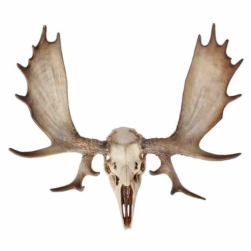 KC Skull Moose