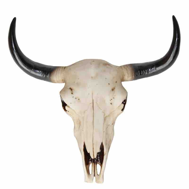 KC Skull Cow